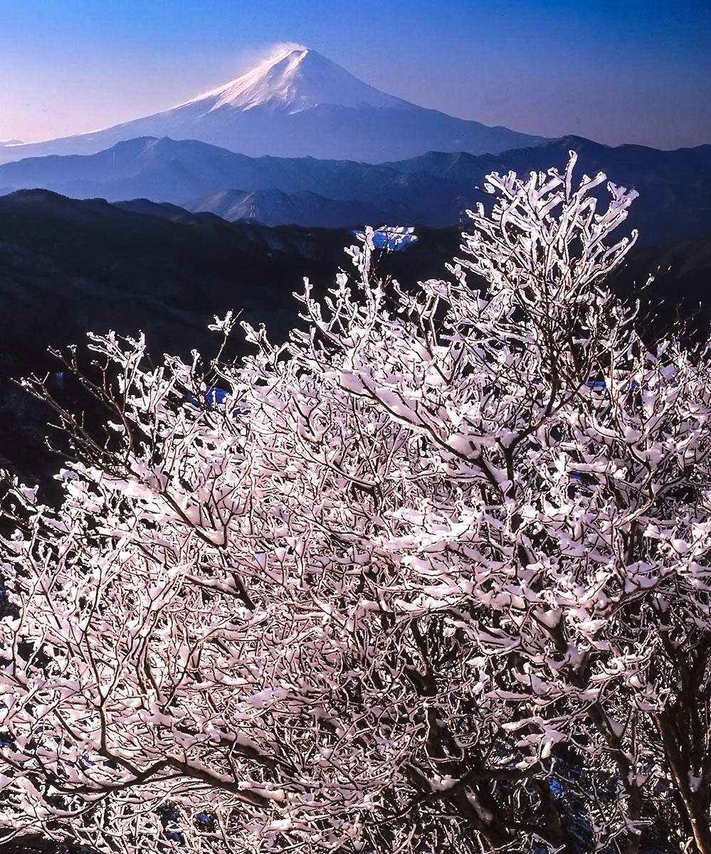 霧氷輝く 大菩薩峠で以前撮影。