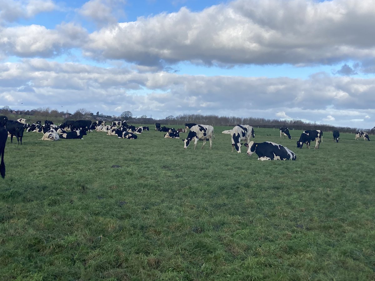 Anne-Marie Hamilton tweet media