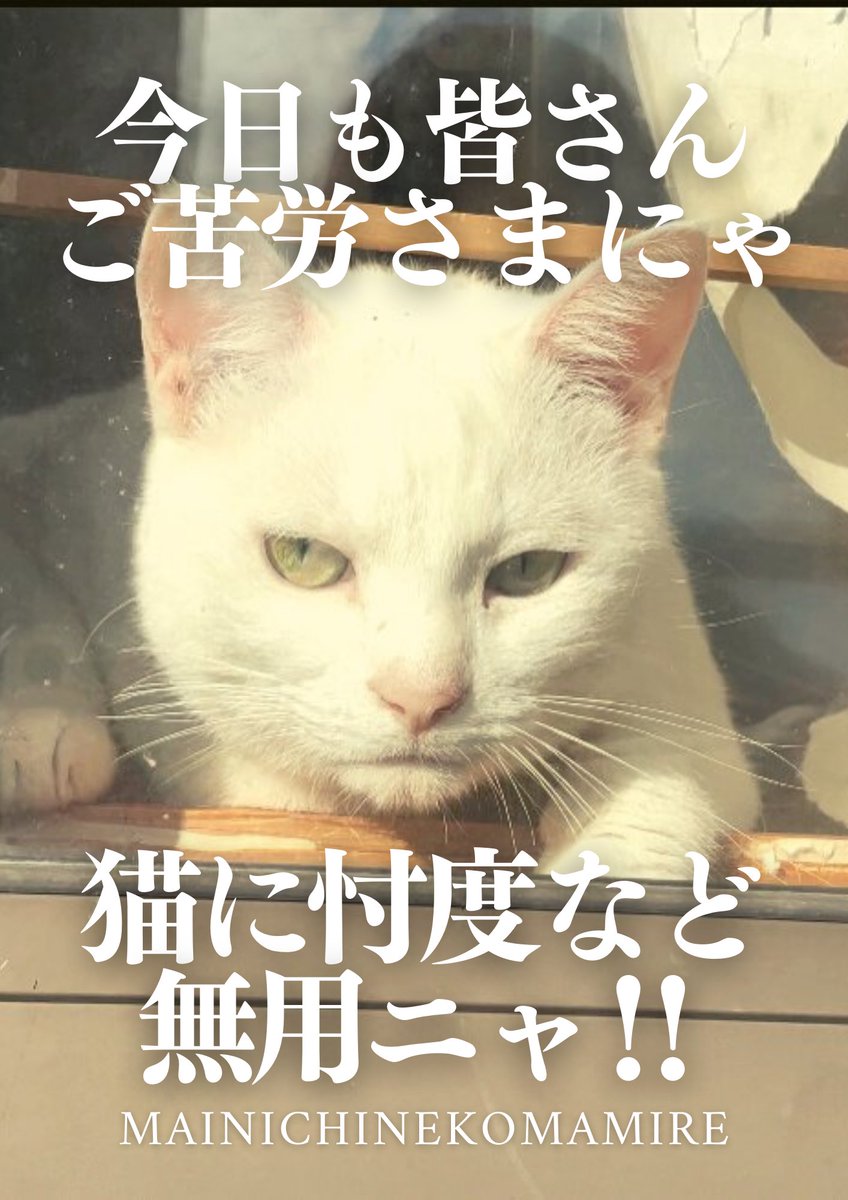 Aiko S Optimal Today