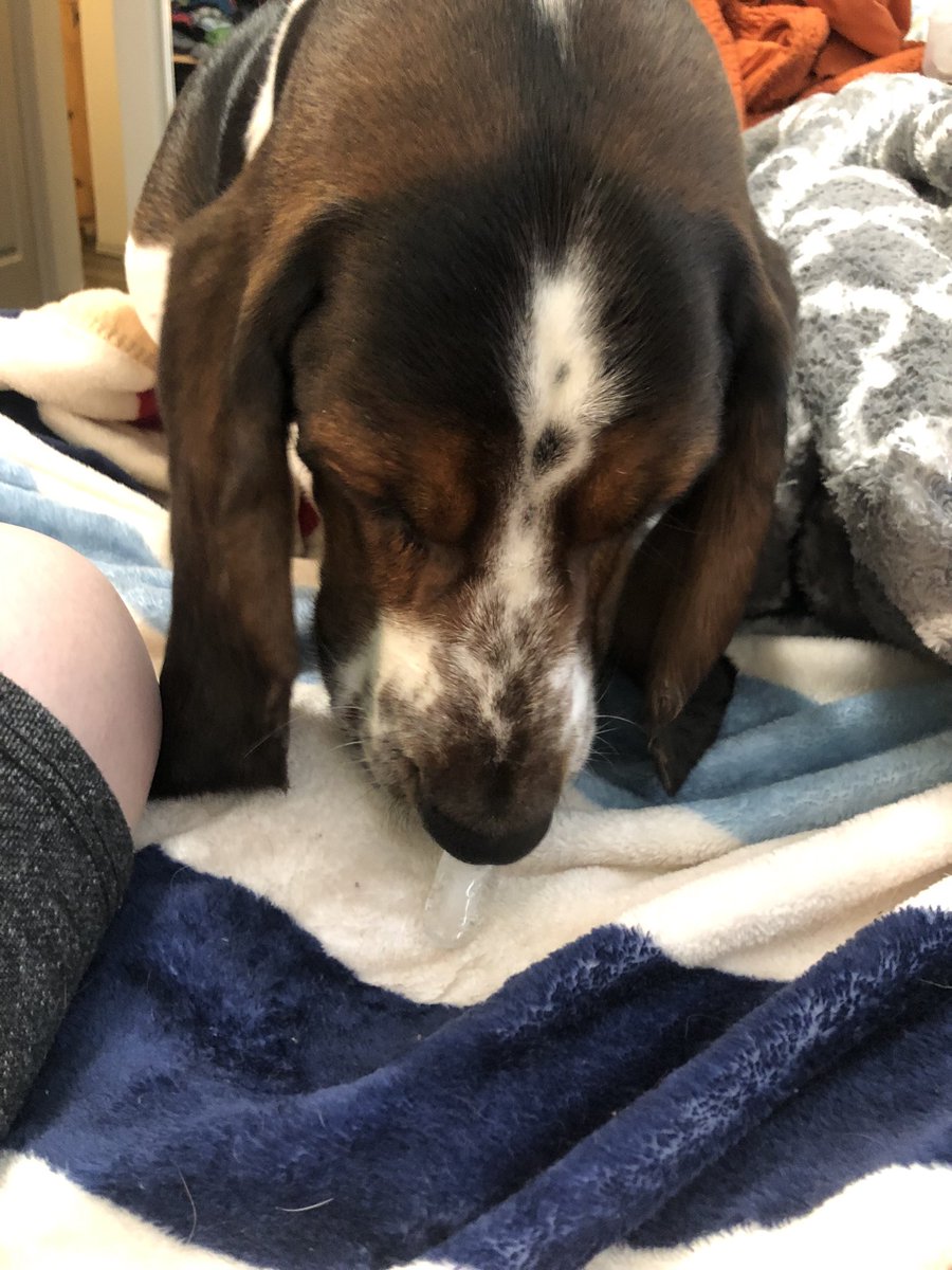 Gusterbear's tweet photo. Hihihi. Kid dropped ice cube on floor. Karls returned ice cube to Kid. #MostHelpful https://t.co/HTdBrtcpsw
