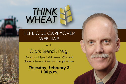 SaskWheat's tweet image. There will be significant risks of herbicide carryover in 2022 due to the extreme heat and drought experienced in 2021. 

At our Feb 3 Think Wheat webinar, Clark Brenzil will discuss what producers need to be aware of prior to seeding.

Register here: us06web.zoom.us/webinar/regist…