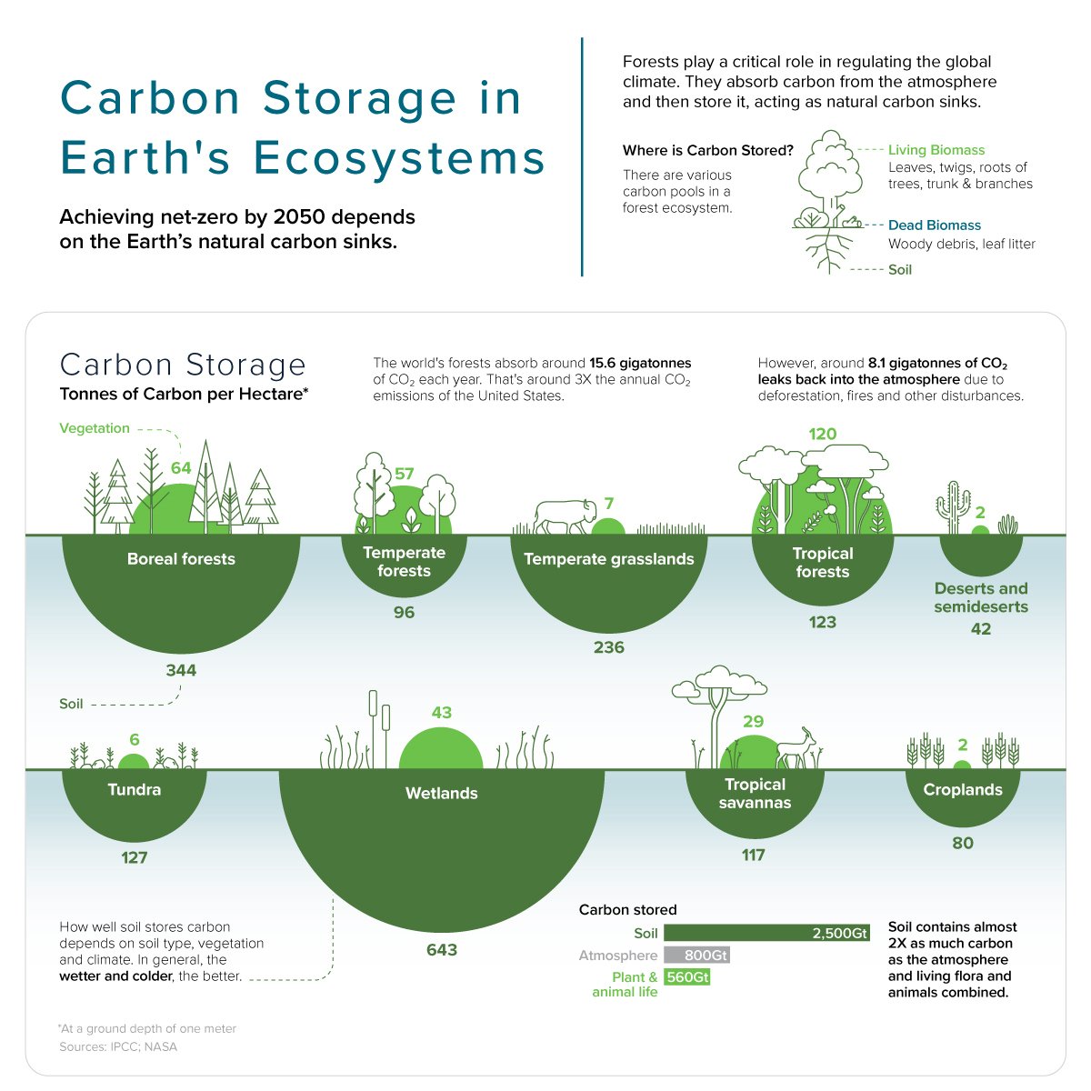 WaterLANDS_EU's tweet image. 🌍💧🟢The importance of wetlands in storing carbon #GenerationRestoration #WorldWetlandsDay #ActForWetlands 
Source: @VisualCap  visualcapitalist.com/visualizing-ca…