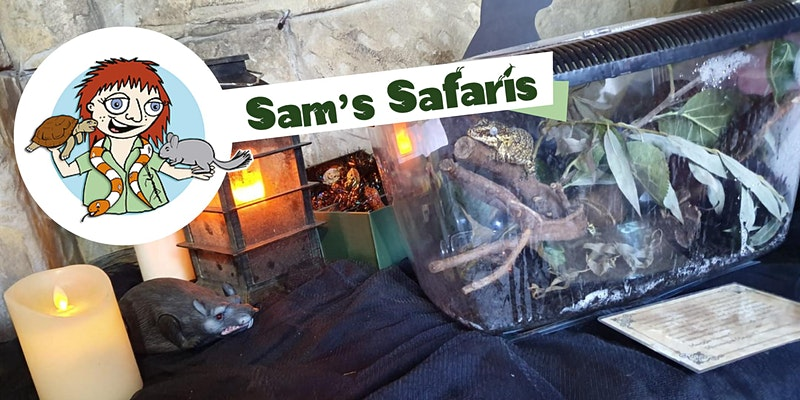 Hull Libraries tweet media