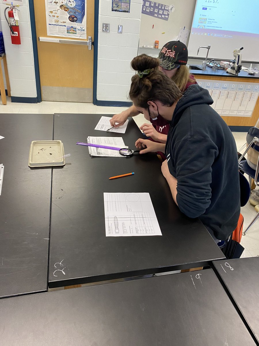 Checking out some worm behavior in aquatic science! <a href="/MrsHeistScience/">Leilani Heist</a>  @ljrchem @geriberger08