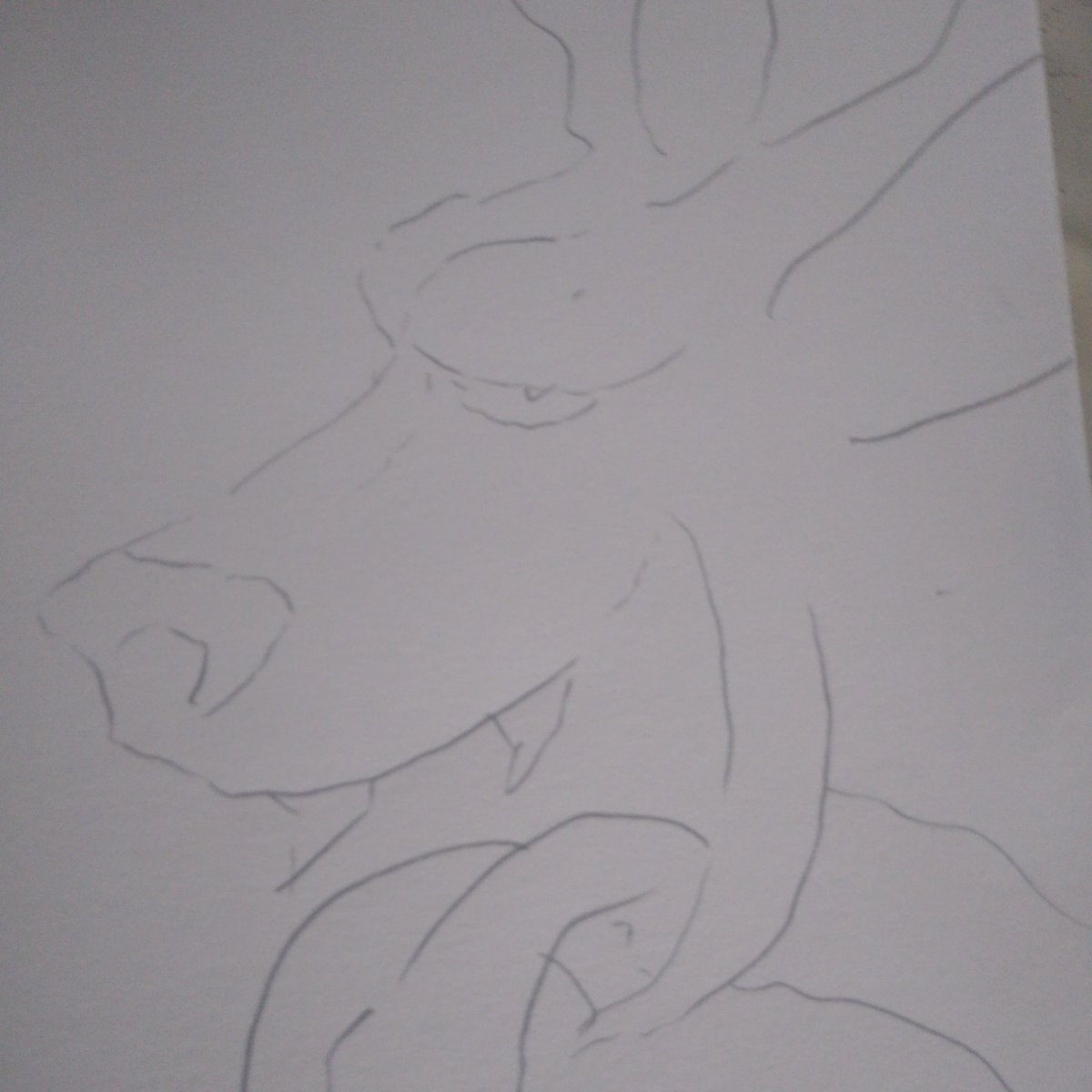 Fuzzy Nuts NFT project (@fuzzynutsnft) on Twitter photo 