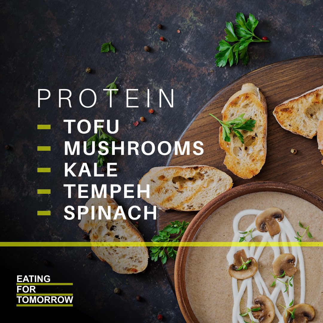 EATING OUR WAY TO EXTINCTION tweet media