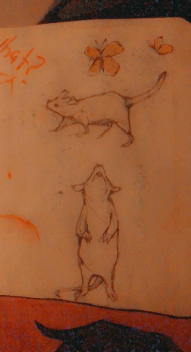 Крыска и лучший мальчик в мире :D