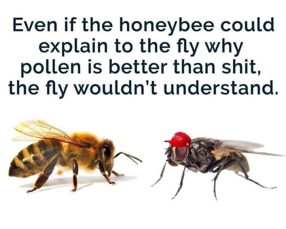 TheGr8Illusion's tweet photo. One of these days I hope the gullible &amp; persuadable people who have been lied to by the Republicans and tRump wake up finally to the truth that they have been had (all for money and greed) #resist #antifa #VoteBlue #blm #equality #tRumpVirus #tRumpliespeopledie #GOPhypocrisy https://t.co/MRkQm2ZyKT