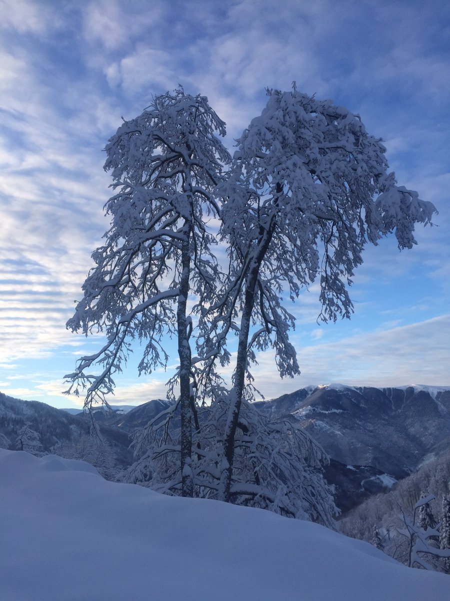 Turqay Pir (@turgaypir) on Twitter photo 