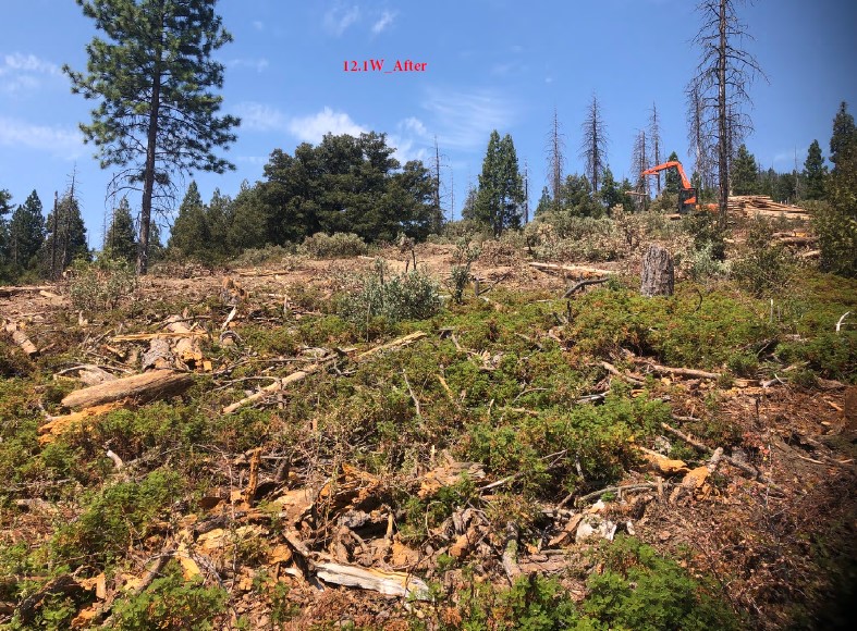 PODCAST:🎙️Forest Focus 🎙️Ep. 25: California Climate Investments Grant Awards Projects. We talk with @CAL_FIRE, @sequoiaforest, TSS Consultants, & @NFWFnews about this critical funding supporting ecological restoration & more. ➡️go.usa.gov/xtnGc