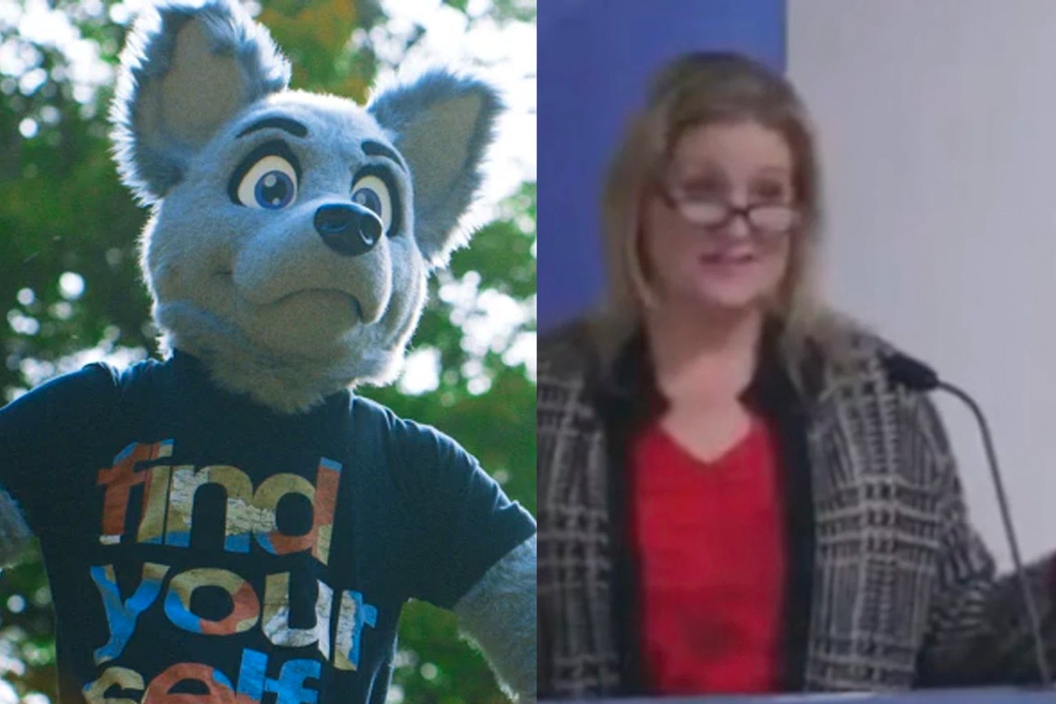 New York Post on Twitter "School district denies litter boxes for