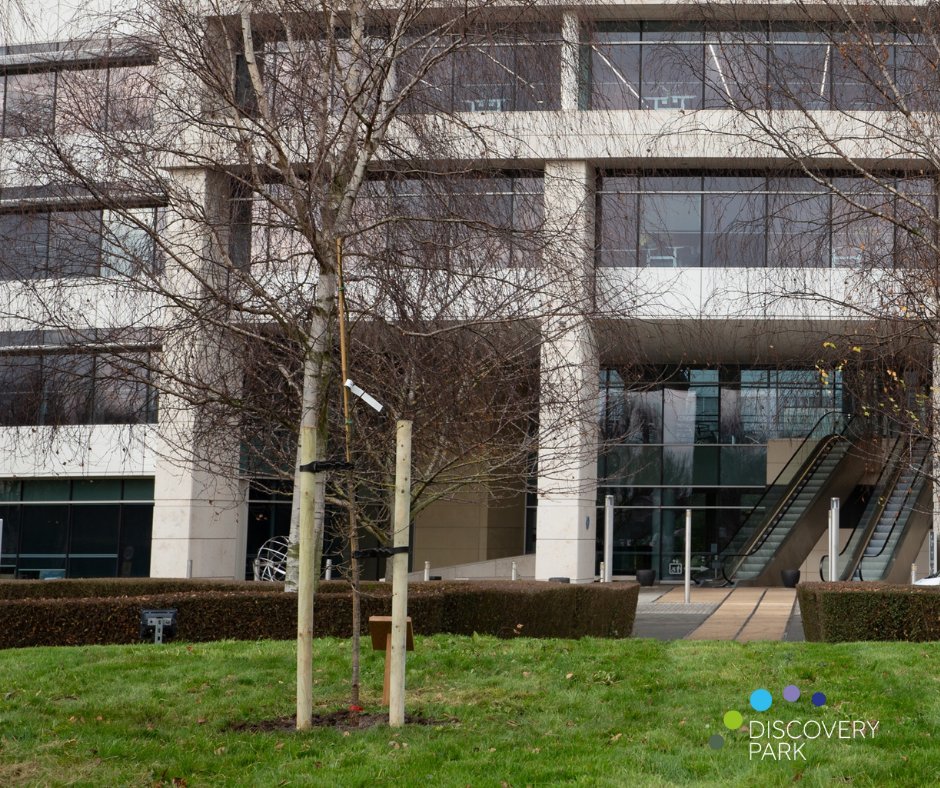 We are proud to be among just 80 locations that have been chosen around the UK to host one of these living memorials to <a href="/TheAJR_/">The Association of Jewish Refugees (AJR)</a> members.
#HolocaustMemorialDay #AJR #80TreesFor80Years #DiscoveryPark #Kent #Environment #TreePlanting