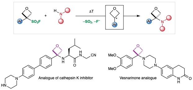 Bull Group Chemistry (@jamesabull) on Twitter photo Our work on the formation of aminooxetanes by a defluorosulfonylative coupling of oxetane sulfonyl fluorides out now in <a href="/NatureChemistry/">Nature Chemistry</a>!
rdcu.be/cFP7y Our work on the formation of aminooxetanes by a defluorosulfonylative coupling of oxetane sulfonyl fluorides out now in <a href="/NatureChemistry/">Nature Chemistry</a>!
rdcu.be/cFP7y