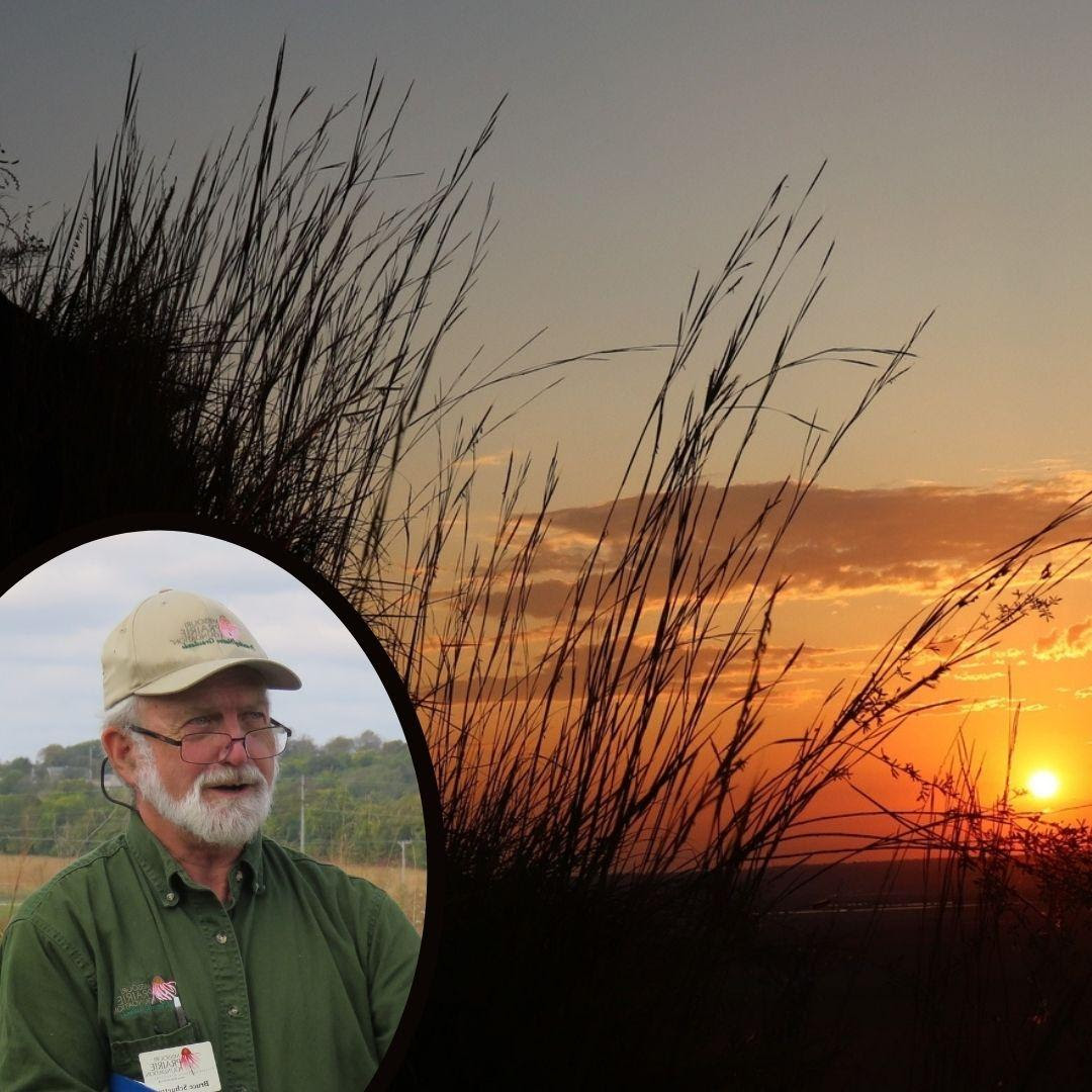 MO_Prairie's tweet photo. Free MPF Webinar February 2, 2022: Missouri Prairie Foundation Webinar: From Loess to Sand: Missouri's Rarest Prairie Communities with Bruce Schuette
https://t.co/97ymUcJmaP https://t.co/kKFQ9JJBBJ