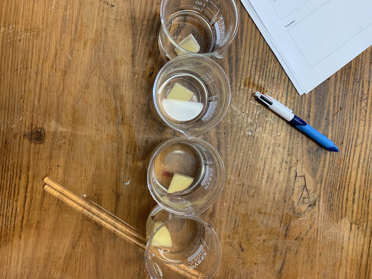 AisKelleher's tweet photo. Some examples from 2A6 Science students for their CBA1 investigations this morning! Some Great ideas by our students 🧪 @JuniorCycleKCS @KCS_science https://t.co/ila867fVhM