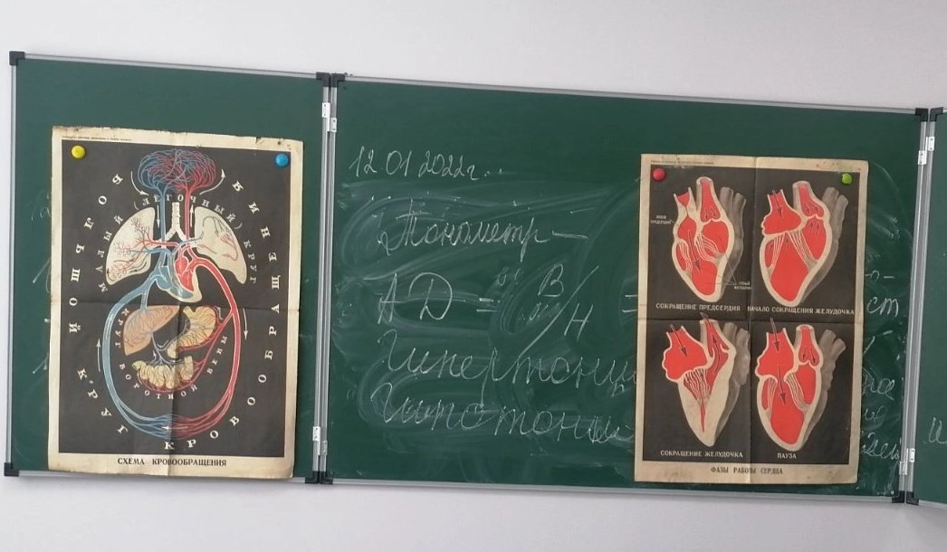 В кабинете "Точка Роста" на уроке биологии в 8 кл. при изучении темы "Движение крови по сосудам. Регуляция кровоснабжения" ребята познакомились с движением крови по сосудам, со скоростью крови в артериях, венах и капиллярах. Изучили строение тонометра и смогли померить себе АД.