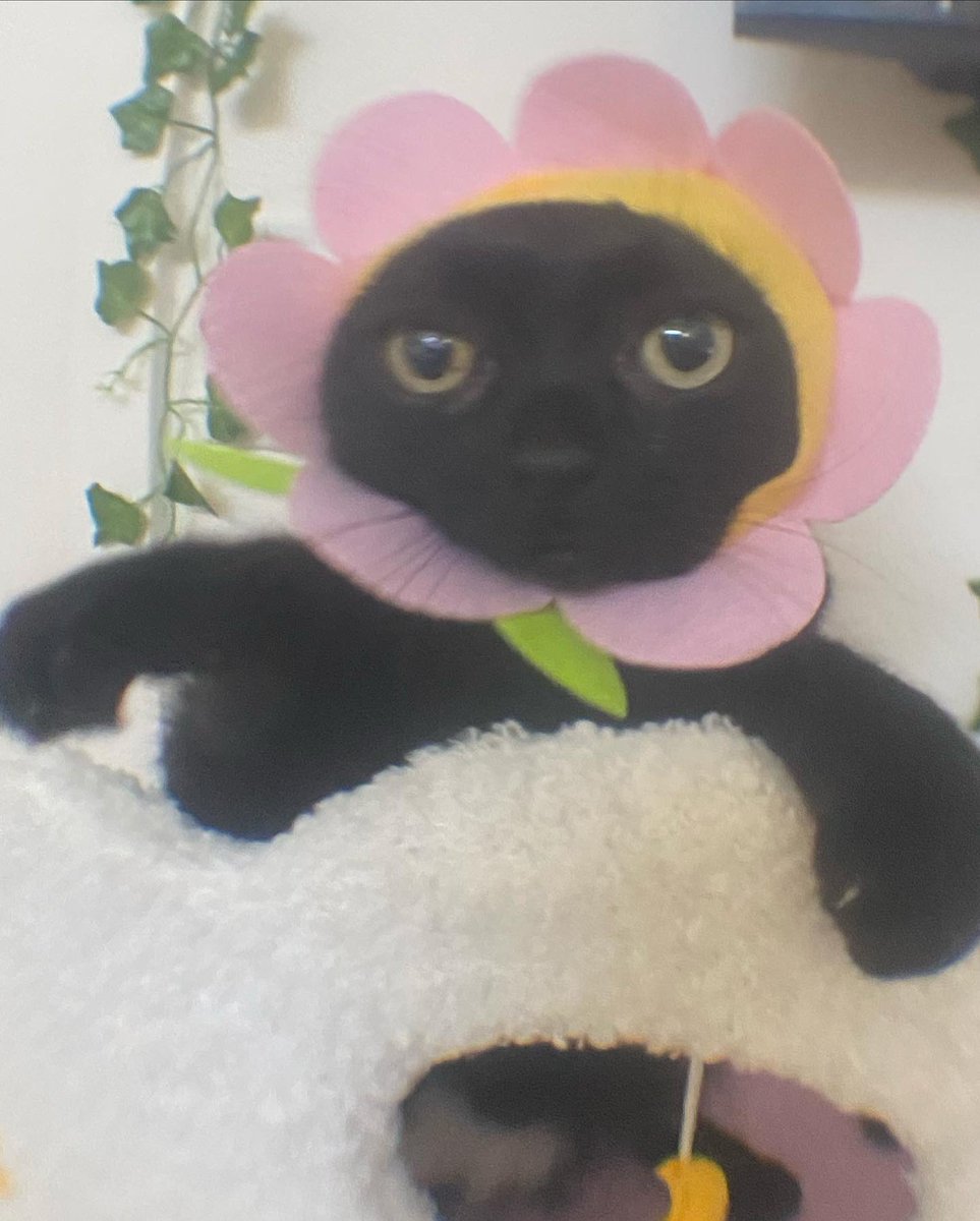 FLOWER HAT