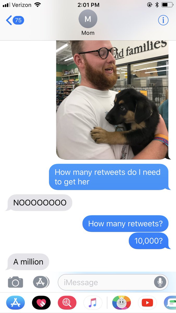 comscomsa's tweet image. She’s tough. But she’s worth it
#dogs 
#dogecoin 
#nfts