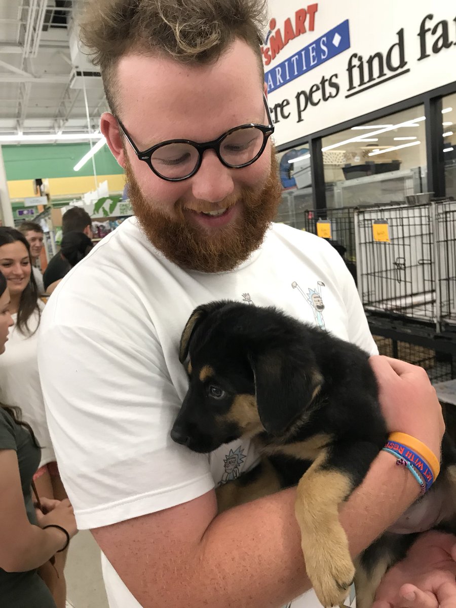 comscomsa's tweet image. She’s tough. But she’s worth it
#dogs 
#dogecoin 
#nfts