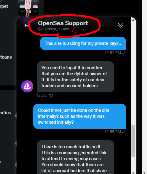 Pixelburgh's tweet photo. With all the controversy going on at @opensea There is a #scammer trying to take all your  #crypto! They are disguised as OPENSEA Support but the account is missing the T on the end. They will try to tell you you can still update your collections! @opensea_support #opensea #nft https://t.co/O90bqZLB2d