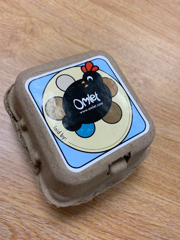 CMAC_MrsAlpin's tweet photo. A very eggciting day at Collingwood today… 🐓 our school chickens have started laying! https://t.co/Ai8eht7GlS