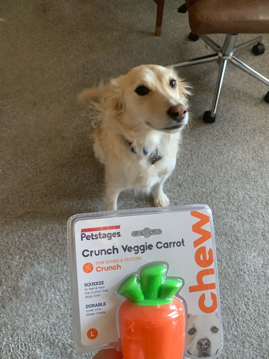 new toys are so exciting