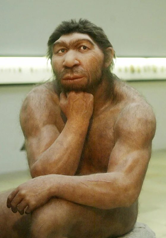 i wos feling eckstra dappr kn this foto (i was thiknong about hunting mamotheas.)