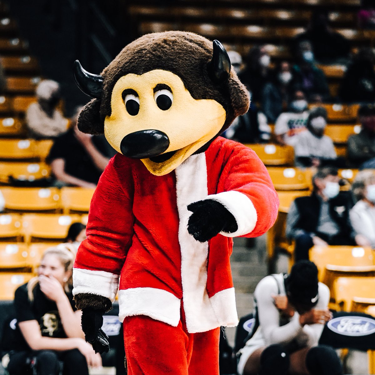 We get to celebrate <a href="/Chipthebuffalo/">Chip the Buffalo</a>'s birthday on Sunday!!!

Grab your tickets 𝙏𝙊𝘿𝘼𝙔 so you can join us for all of the party festivities, such as free pizza, Bundt cakes, and inflatables! 🎉🎉

🎟 - bit.ly/3ckWWdh
#ElevateYourGame || #GoBuffs 🖤💛