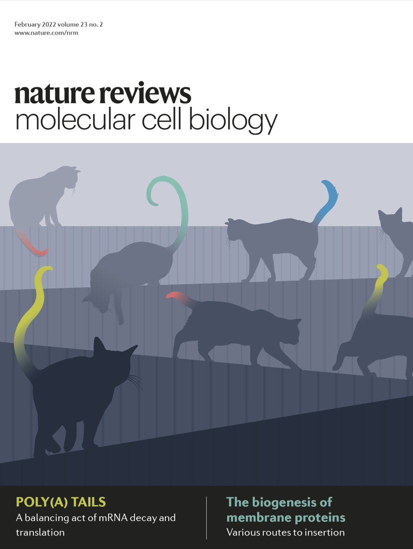 Nature Reviews Molecular Cell Biology tweet media