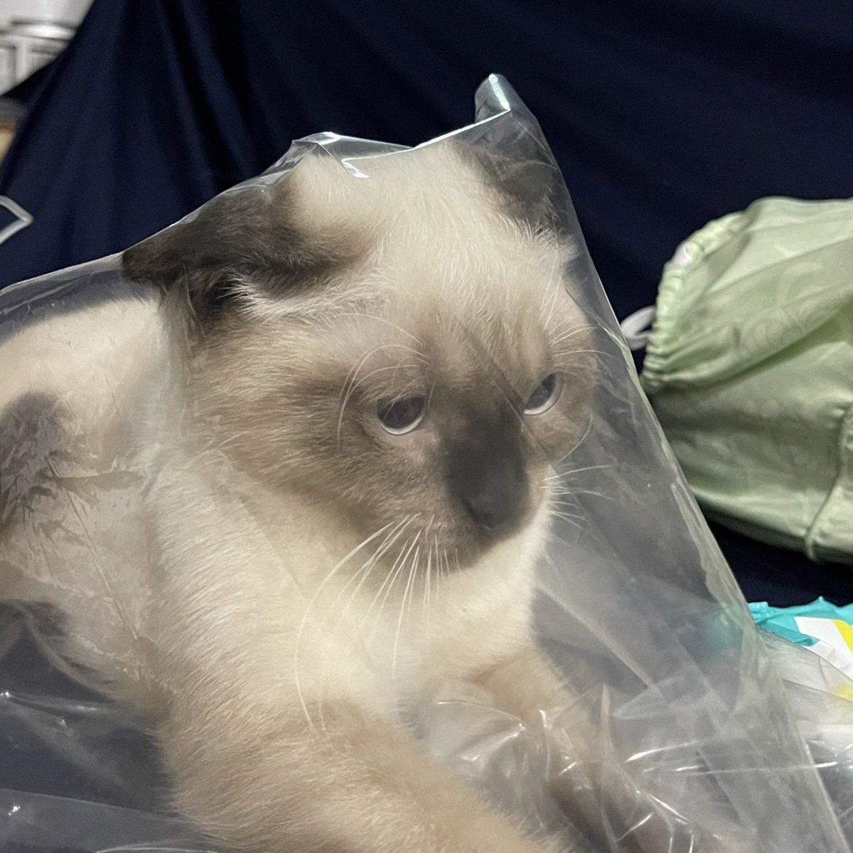 ซื้อของเล่นให้เล่นเป็นสิบ หนูเลือกเล่น....ถุง