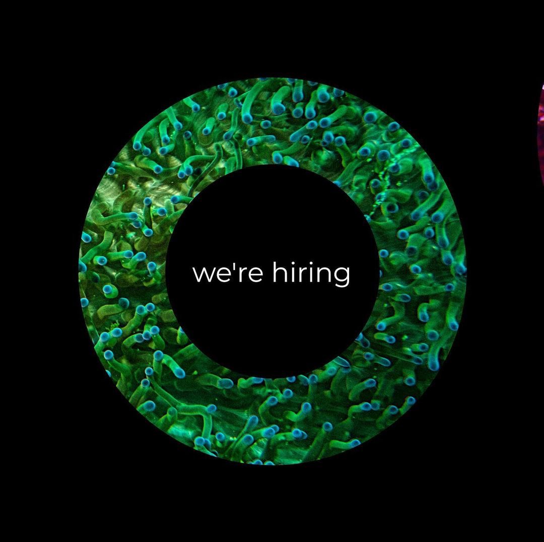 We need a Research Assistant in @RCAIED! #Games, #speculativedesign & #ClimateCrisis … CVs by 15 Feb! bit.ly/3r5GkhZ