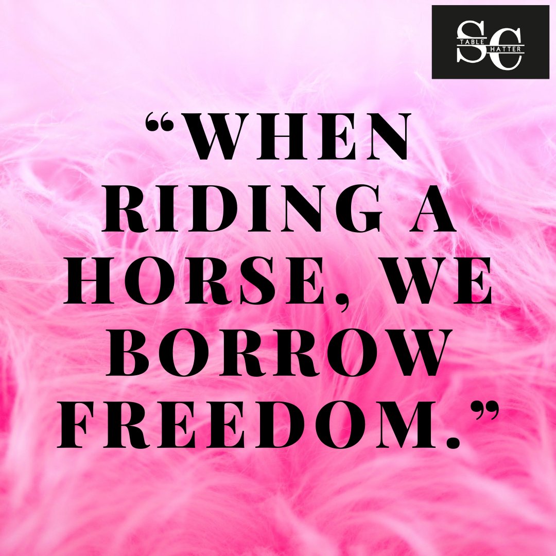 #equine #riding #horse #poniesoftwitter
#horseandrider #horselover #equestrianlife #pony
#horseriding #showjumping #equinephotography
#horses #horselove #instahorse #equestrian
#horsesoftwitter #stablechatter #eventing
#dressage #equestrianblogger #equestrian #equinelife