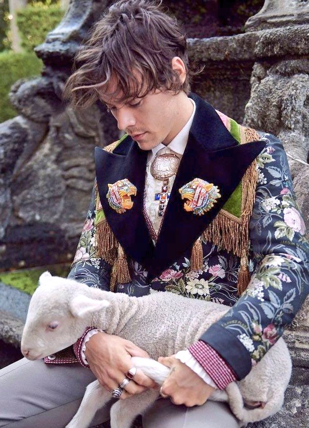 dailyhontent's tweet photo. harry styles for gucci, 2019. https://t.co/FwnQET9hO9