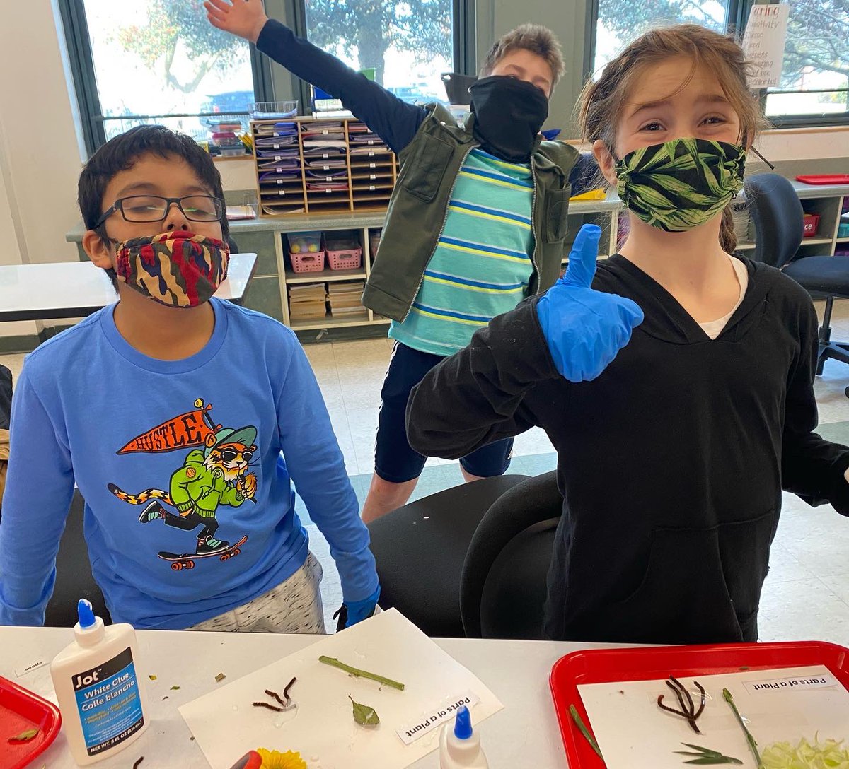 mrskellySLH's tweet photo. 5O Science handpicked the perfect flower to dissect today! @SLHeights https://t.co/JiqRRKaGtH