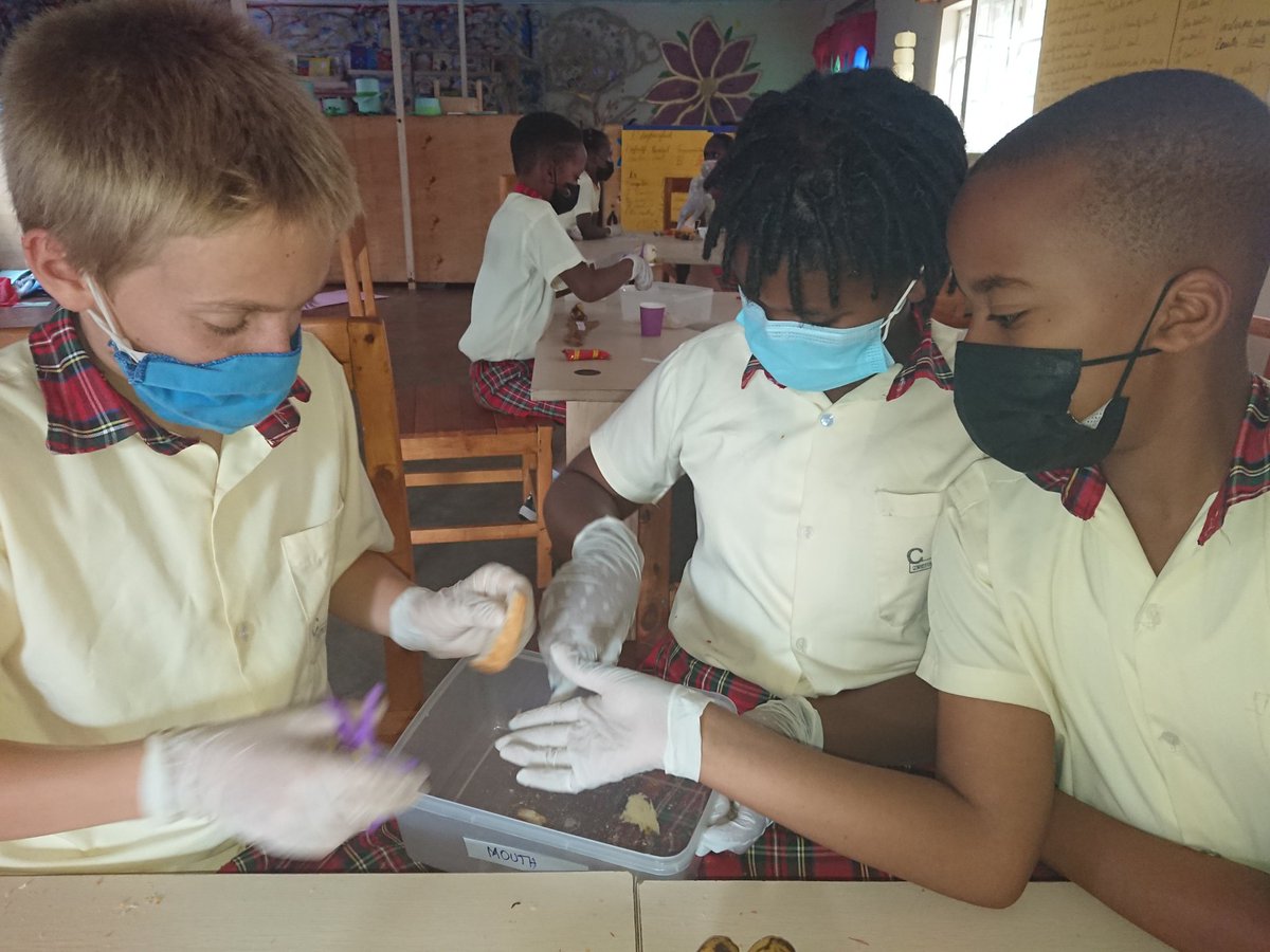 CornerstoneInt9's tweet photo. Practice makes perfect 👌
Students can make the digestive system demonstration on their own. 

@HuyeDistrict @A_sebutege @Rwanda_Edu @REBRwanda @RwandaICT https://t.co/H1aHklswew