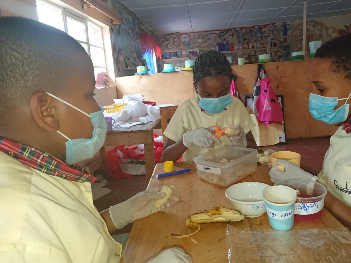 CornerstoneInt9's tweet photo. Practice makes perfect 👌
Students can make the digestive system demonstration on their own. 

@HuyeDistrict @A_sebutege @Rwanda_Edu @REBRwanda @RwandaICT https://t.co/H1aHklswew