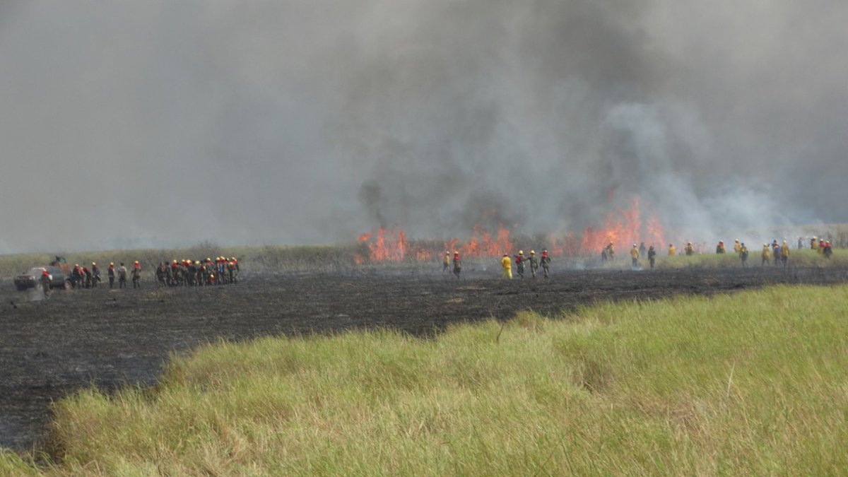mirnaechave1's tweet photo. Incendios forestales… la guerra que perdemos a diario, es un artículo que muestra cómo es la labor del combate contra incendios y cómo se libra esta lucha en Bolivia, entre la esperanza y las pérdidas irreparables.  https://t.co/hdDCIxDT3T a través de @www.inmediaciones.org https://t.co/WgTmsXHtUi