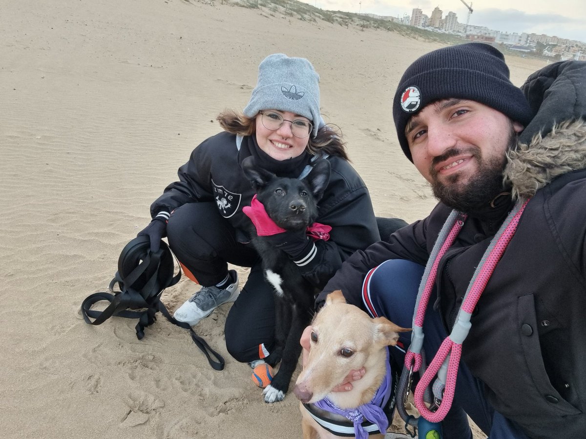 FuriusM's tweet photo. Después de la nieve, tocaba conocer la playa, hemos aprovechado para soltar por primera vez a Freya y.. ha salido todo genial, ellas súper felices y nosotros aun más con ellas 🤗
@Merypompisssss https://t.co/c5wIY8Mzv0