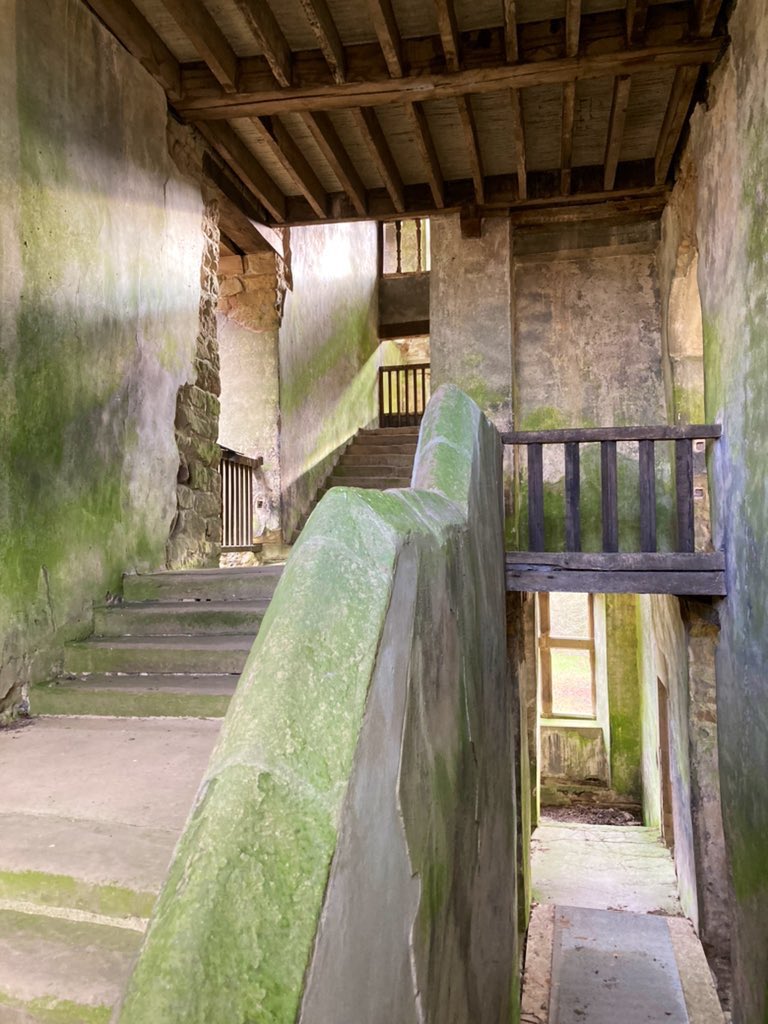 katephillips29's tweet photo. The sun was streaming in to Hardwick Old Hall today, where we were discussing details for our forthcoming conservation project 😀 https://t.co/7bJ5eHSkzz