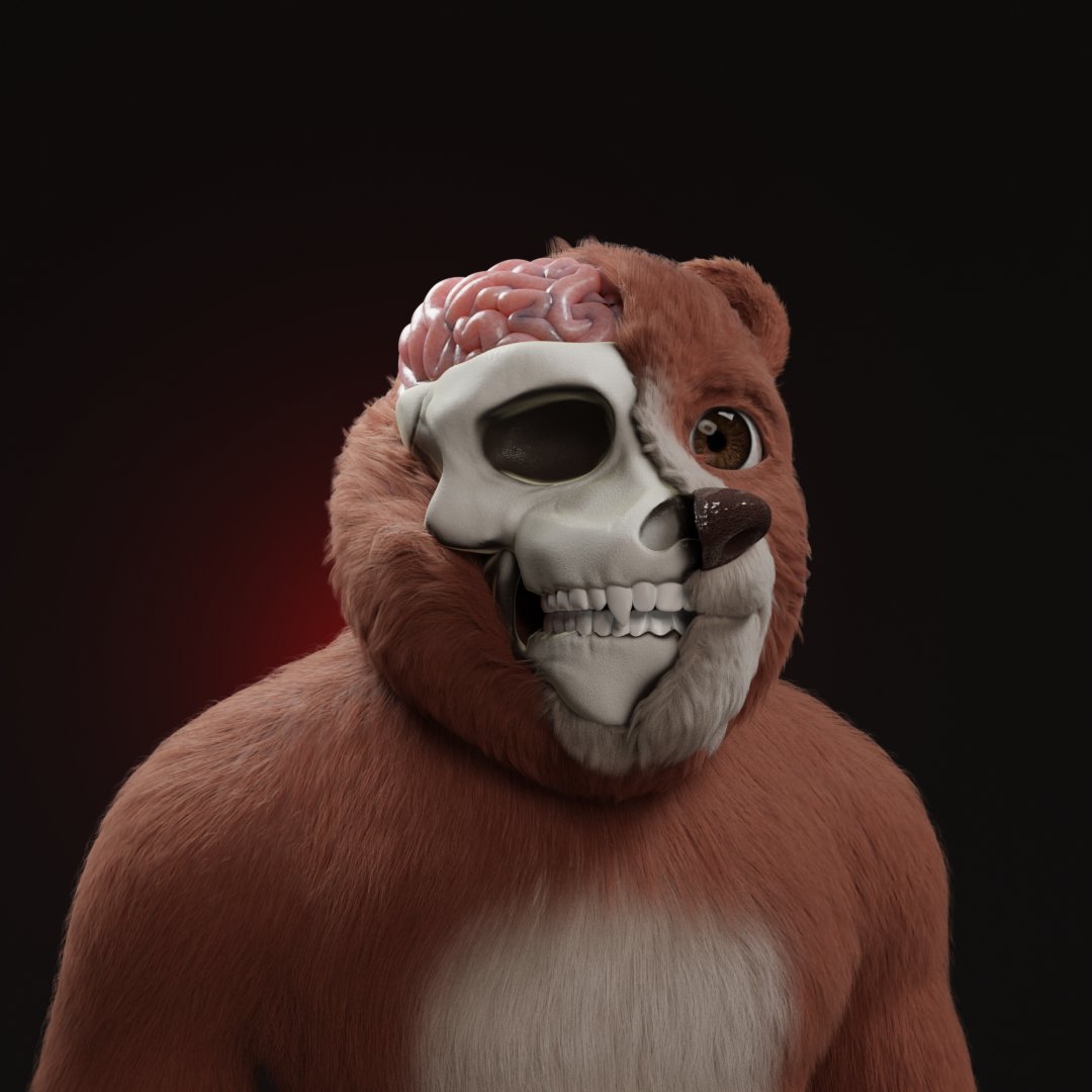 Hyped Bears tweet media