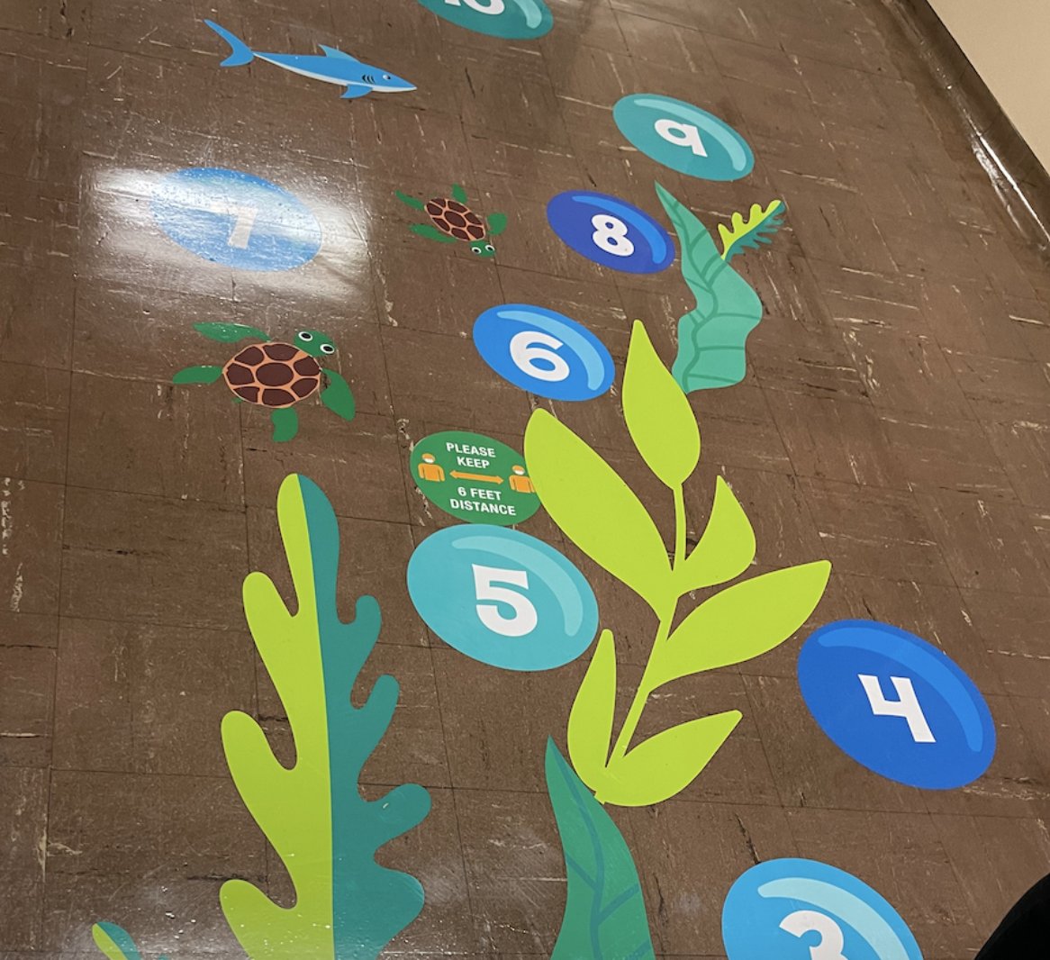OUSDNews's tweet photo. Oakland Academy of Knowledge (OAK) has invested in sensory pathways in school hallways. Check out the Under the Sea themed hallway and the Flashback themed hallway! #iamOUSD https://t.co/qWiuGZG9vB