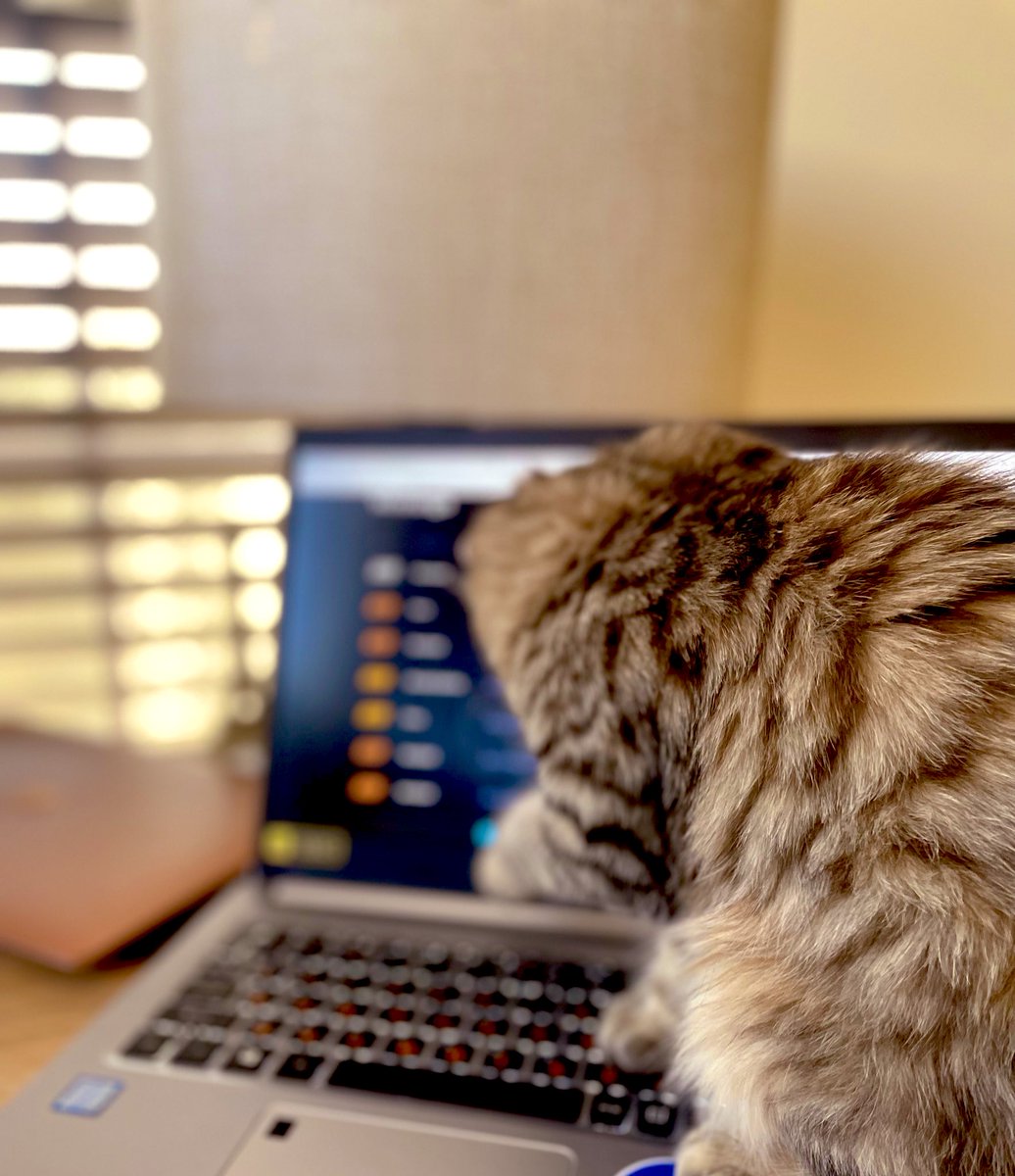 Dana Yves tweet media