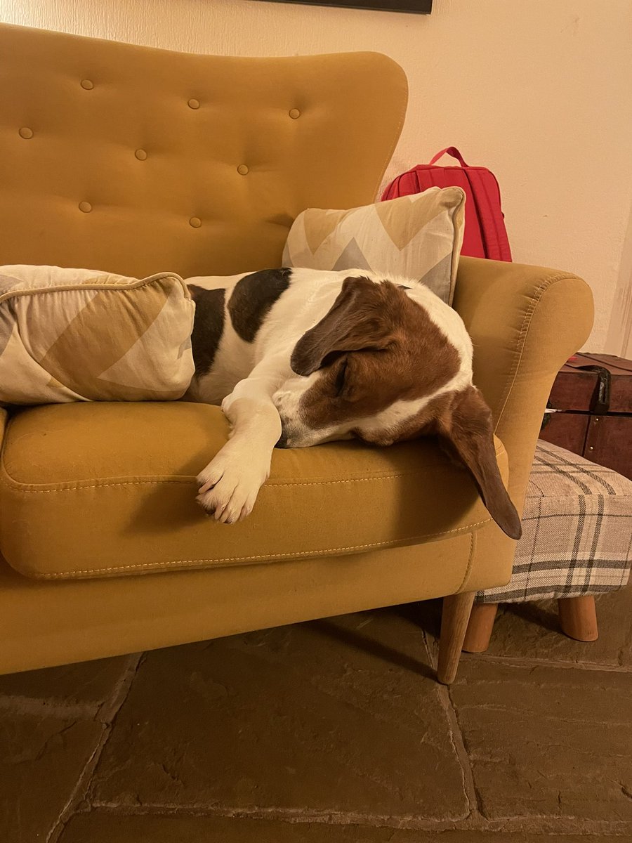 Sam as just trumped… it takes a lot to upset mees snoofer but ooof! 😷😵‍💫💨