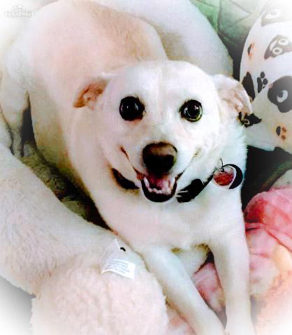 bella barr🌈 tweet media