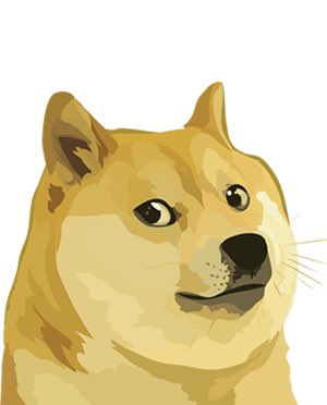 TheLostLeaf's tweet photo. We will now accept #Dogecoin $DOGE for payments! 🍺 Much Beer! 

Just scan the qrcode at the bar to pay with your crypto wallet. 1st 3 people gets a Lost Leaf shirt with @nxoeed design! 

Do only good everyday! #AcceptDoge @elonmusk @dogecoin @BillyM2k https://t.co/fsLmv3LZEi
