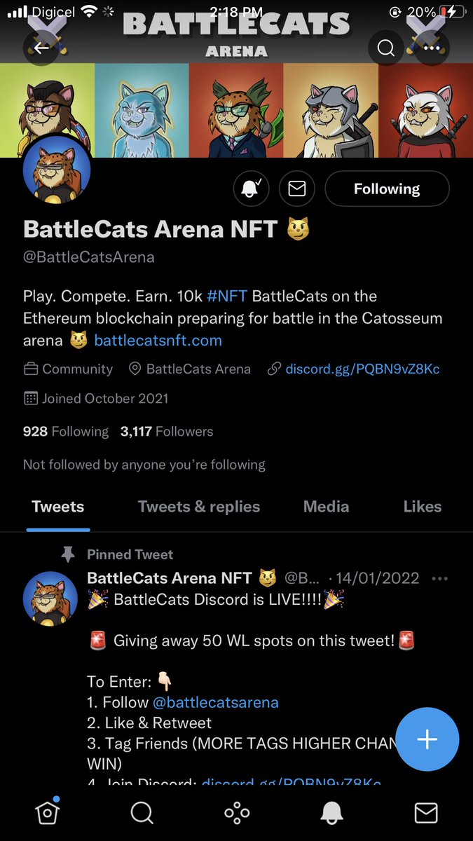 TiresomeAlso's tweet photo. @AshleyDCan @BattleCatsArena @SatooKatherine @TheShibaQueen @Domanci @Domanci @Overnightsucce4 @GabriellaDoge @MiyoshiShiboshi https://t.co/ZaPGzOmvvq