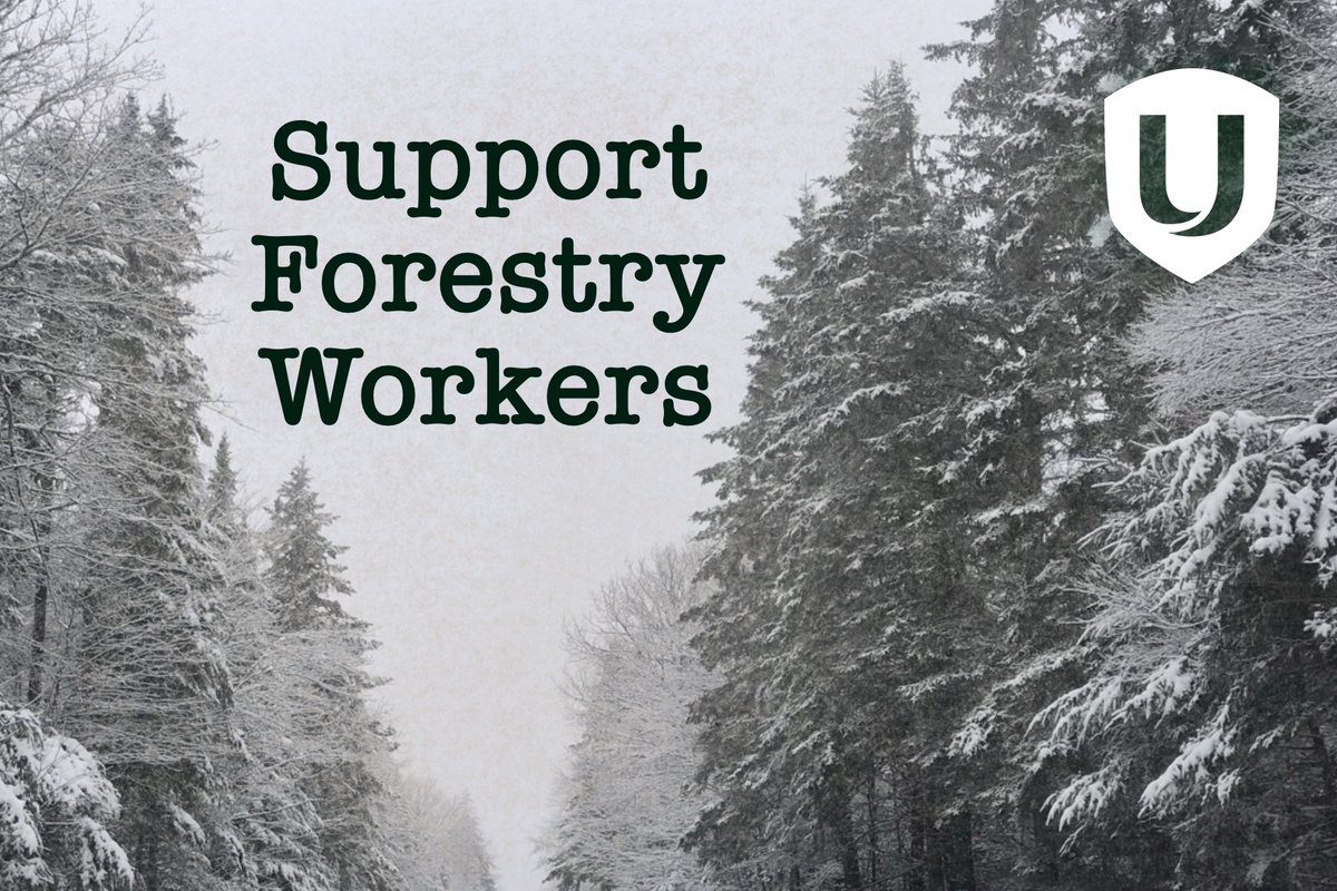 UniforTheUnion's tweet photo. 📣 ACTION! 

Members of #Unifor Local 440 need your support in advocating for a transparent, accountable and clear environmental assessment process from #NovaScotia Environment.

SIGN NOW ⬇️ 
https://t.co/bH8HAIzT5R

#northernpulp #nspoli #workersrights #canlab #forestry https://t.co/S00swkUj3O