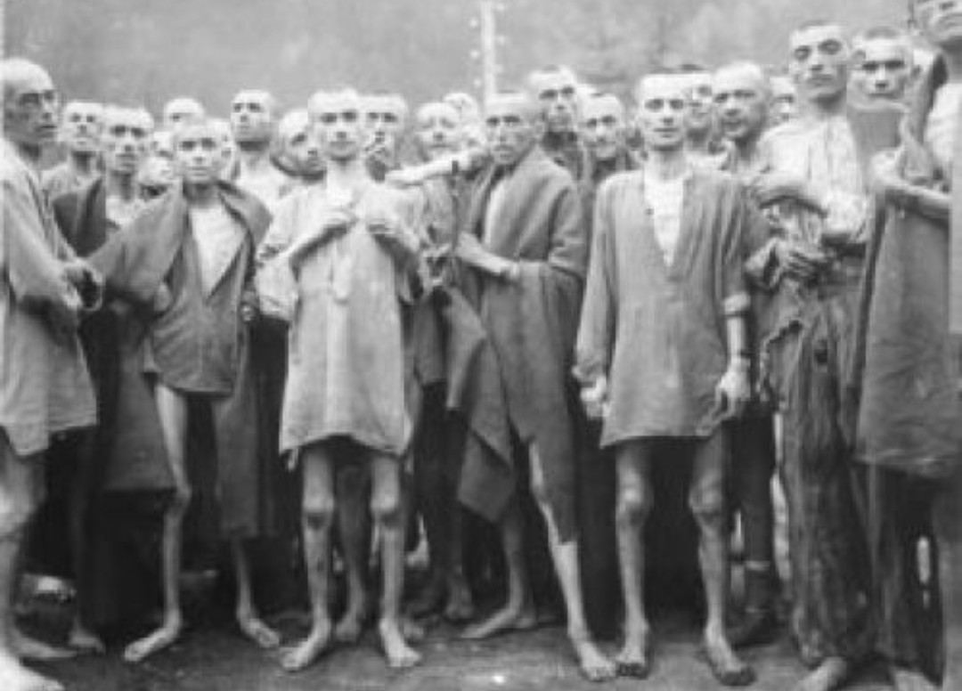 CTACLI's tweet photo. “Il progresso, lungi dal consentire il cambiamento, dipende dalla capacità di ricordare. Coloro che non sanno ricordare il passato sono condannati a ripeterlo”.
~ George Santayana
#GiornodellaMemoria #Shoah #27gennaio #Olocausto  #PerNonDimenticare #GiornataDellaMemoria https://t.co/STjAnKZNfm