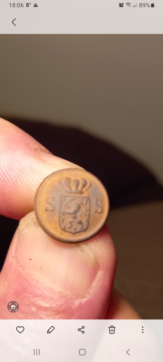 Iemand die deze knoop herkent. Vandaag gevonden met de metaaldetector. #dtv