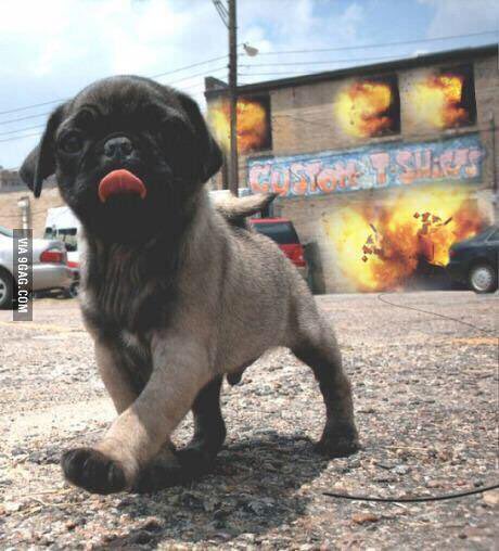 RetailJobMemes's tweet image. Leaving work just as it starts getting busy